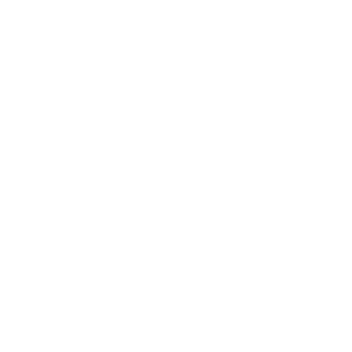 Zorzal Wines Logo