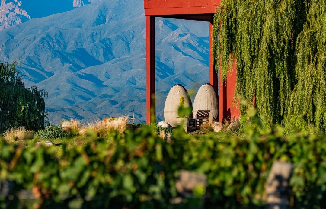 perspective with mountains of the winery