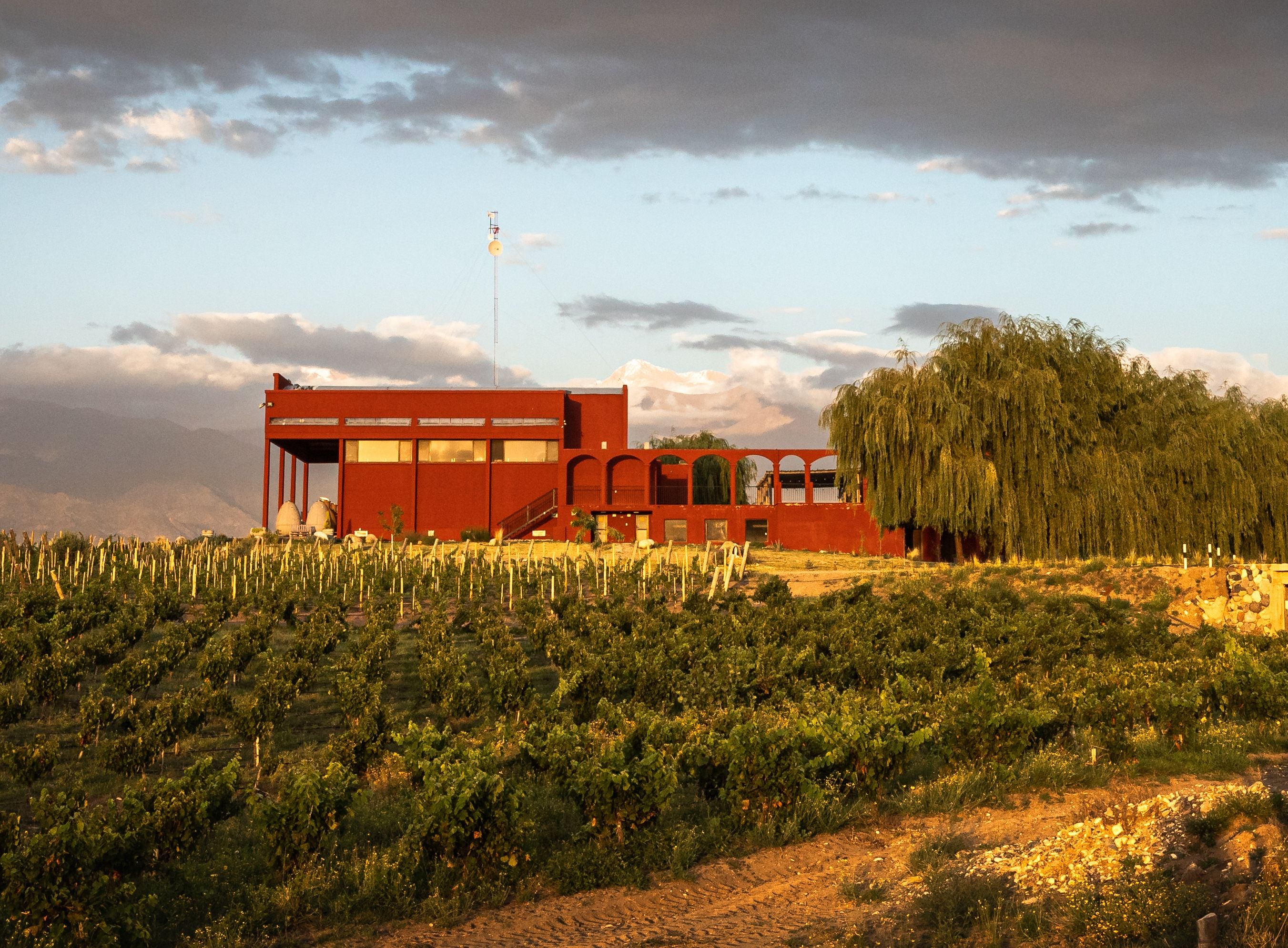 winery of zorzal in the landscape